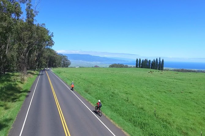 Best Haleakala Downhill Self-Guided Bike Tour with Maui Sunriders - What the $139 Haleakala ride really includes