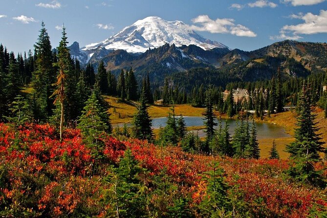 Best of Mount Rainier National Park from Seattle: All-Inclusive Small-Group Tour - Key points to know before you book