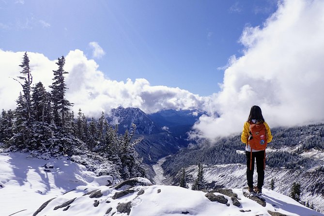 Best of Mount Rainier National Park from Seattle: All-Inclusive Small-Group Tour - Three hours at Paradise