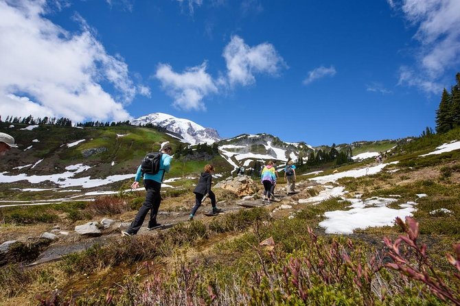 Best of Mount Rainier National Park from Seattle: All-Inclusive Small-Group Tour - The visitor center, Myrtle Falls, and Reflection Lakes