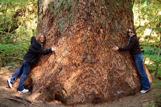 Best of Olympic National Park from Seattle: All-Inclusive Small-Group Day Tour - Entering Olympic through the Elwha Valley