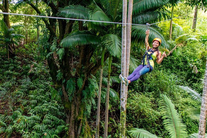 Big Island: 8-Zipline & Suspension Bridge Waterfall Adventure - Eight ziplines through Hakalau rainforest