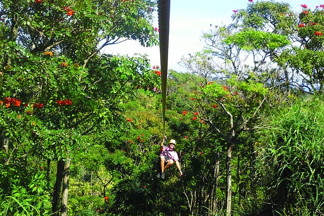 Big Island: 8-Zipline & Suspension Bridge Waterfall Adventure - The course gets better as your confidence grows