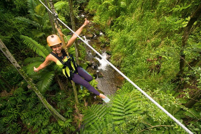 Big Island: 8-Zipline & Suspension Bridge Waterfall Adventure - What the $237.70 price includes