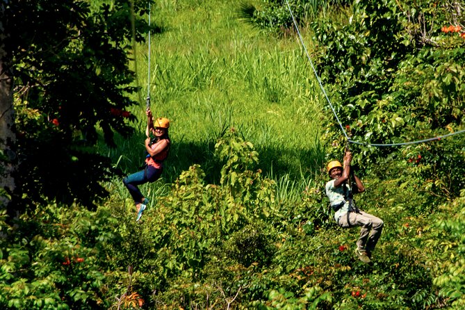 Big Island: 8-Zipline & Suspension Bridge Waterfall Adventure - Getting to the Hakalau meeting point