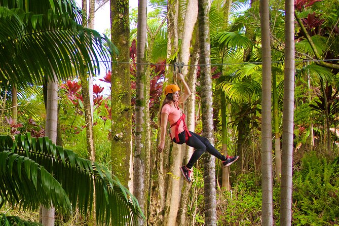 Big Island: 8-Zipline & Suspension Bridge Waterfall Adventure - Rain, group size, and the pace of the morning