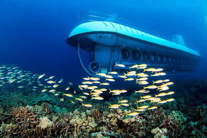 Big Island: Atlantis Submarine from Kona Beach - What the Kona submarine trip is really like