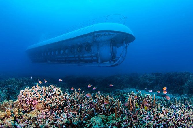 Big Island: Atlantis Submarine from Kona Beach - The 25-acre reef below Kona