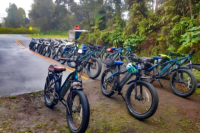 Big Island: Fat Tire E-Bike Tour through Volcanoes National Park - Craters, volcanic views, and the Volcano House stop