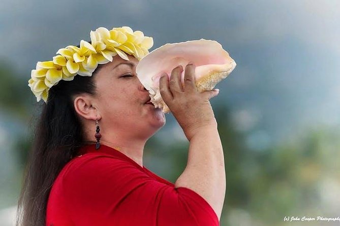 Big Island Historical Dinner Cruise to Kealakekua Bay - Boarding at Kailua Pier at 4:00 p.m.