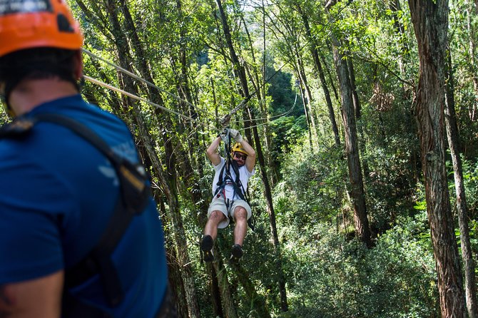 Big Island Kohala Canopy Zipline Adventure - What the Three-Hour Course Includes