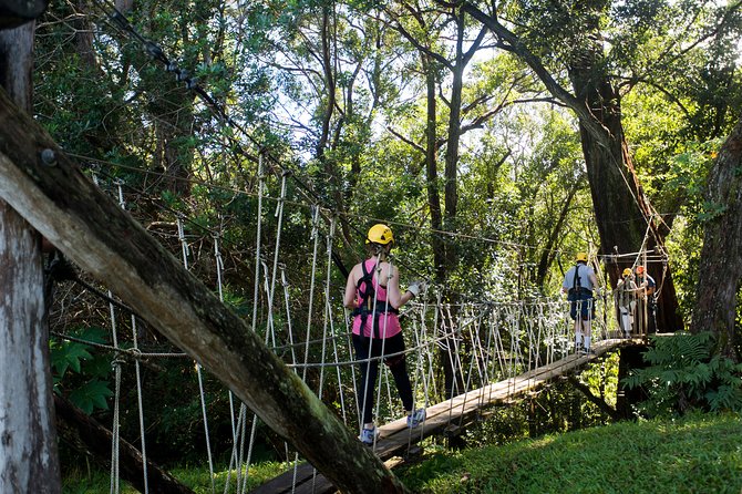 Big Island Kohala Canopy Zipline Adventure - A Good Match for Families and Mixed-Age Groups
