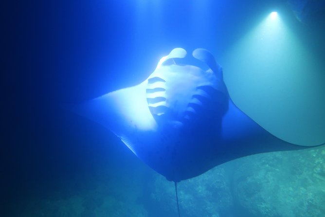 Big Island: Kona Manta Ray Snorkel Tour in Keauhou Harbor - Crew Help and Communication