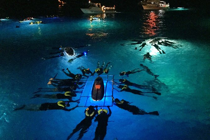 Big Island Manta Ray Night Snorkel - Why this Kona manta ray trip feels so special