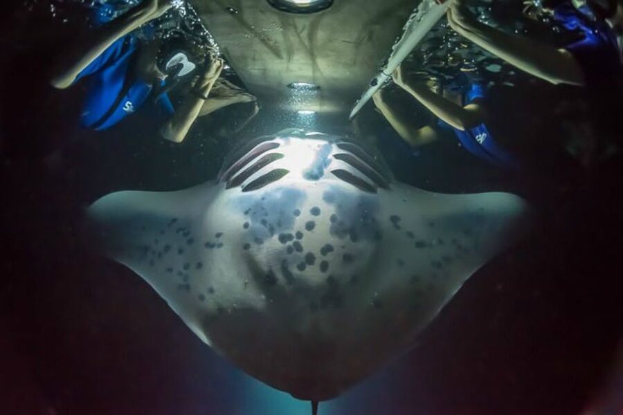 Big Island: Night Swim with Manta Ray with Hot Chocolate - The short boat ride from Keauhou Bay