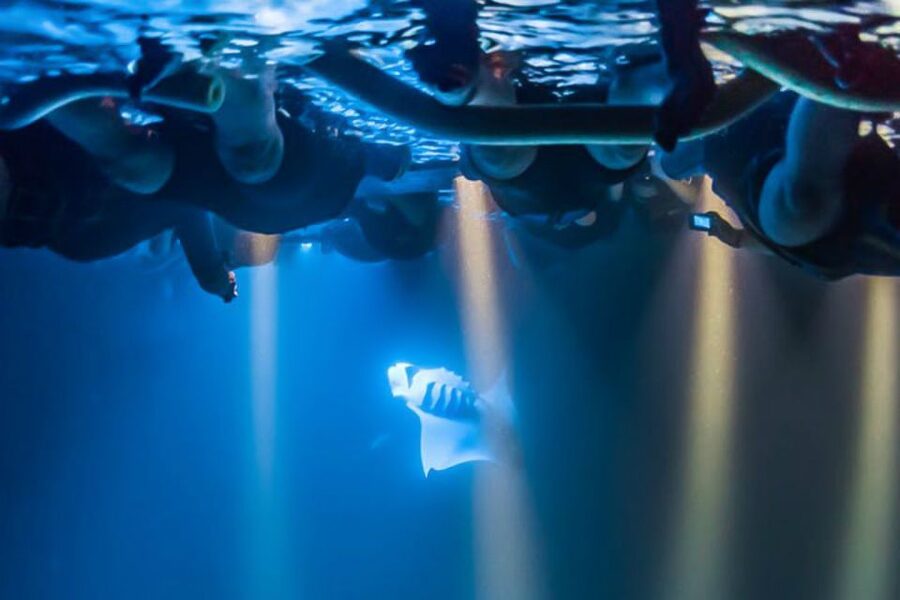 Big Island: Night Swim with Manta Ray with Hot Chocolate - Is $146 a fair price?