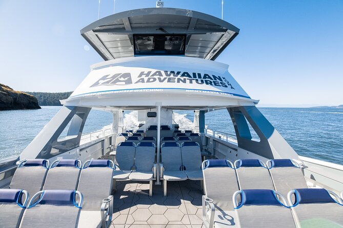 Big Island: Pelagic Whale Watch Tour - Why Kona is such a strong place for whale watching