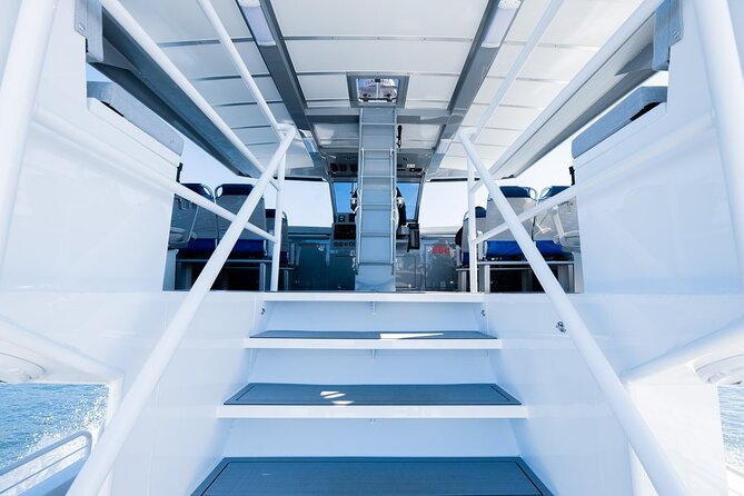 Big Island: Pelagic Whale Watch Tour - Artemis gives you a practical viewing platform