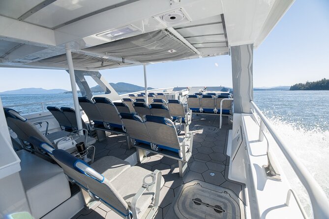Big Island: Pelagic Whale Watch Tour - The crew turns sightings into a lesson