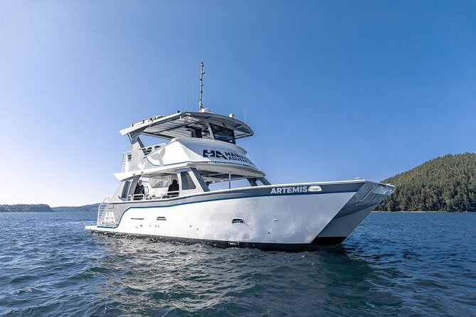 Big Island: Pelagic Whale Watch Tour - Leaving Honokohau Harbor at 8:30 in the morning
