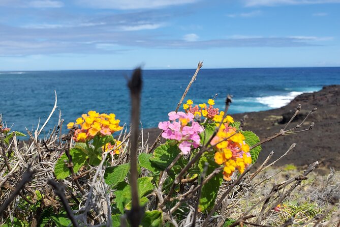 Big Island Southside ATV Tour - Why this is not a typical ATV track