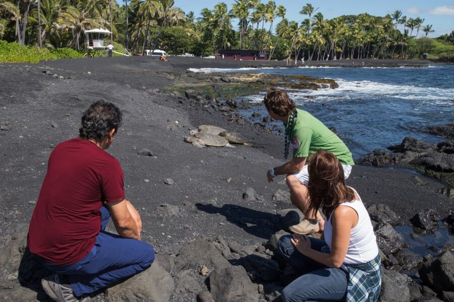 Big Island: Volcanoes, Waterfalls, & Coffee Farm Day-Trip - Key points to know before booking