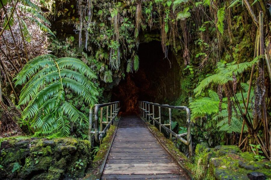 Big Island: Volcanoes, Waterfalls, & Coffee Farm Day-Trip - Waipio Valley Lookout and the Hamakua Coast