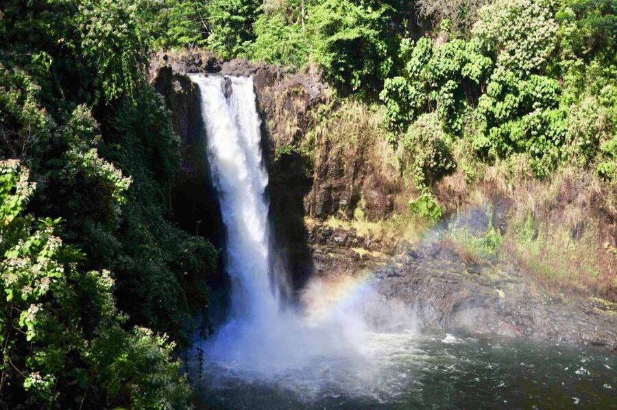 Big Island: Volcanoes, Waterfalls, & Coffee Farm Day-Trip - Bay View Farm and a taste of Kona coffee