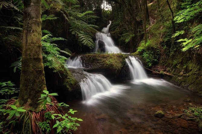 Big Island Waterfalls Tour with Swimming and Botanical Garden - Akaka Falls delivers the biggest single drop