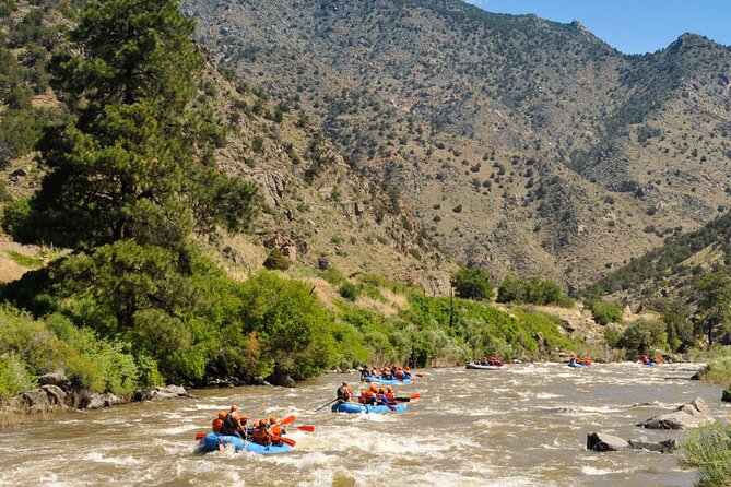 Bighorn Sheep Canyon Half Day Tour (Free Wetsuit Gear Use) - The scenery and the chance to see bighorn sheep