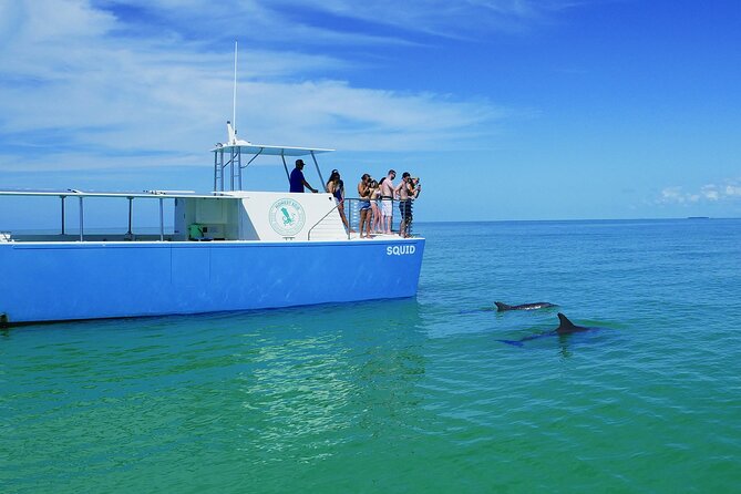 Biologist Owned & Operated: Dolphin Watching & Guided Snorkeling - Why beginners receive better support here