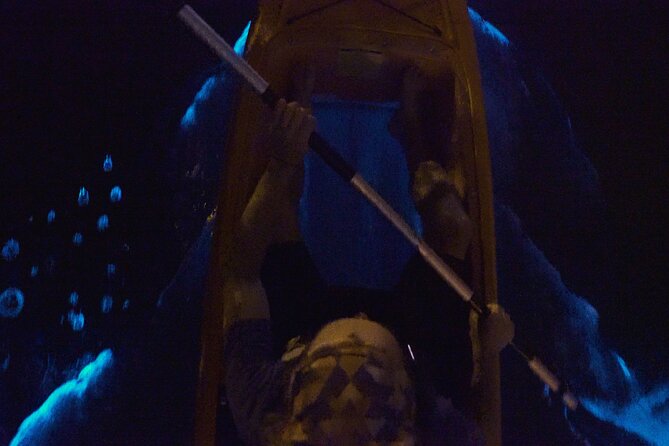 Bioluminescence Kayak Tour - Why the water glows near Cocoa Beach