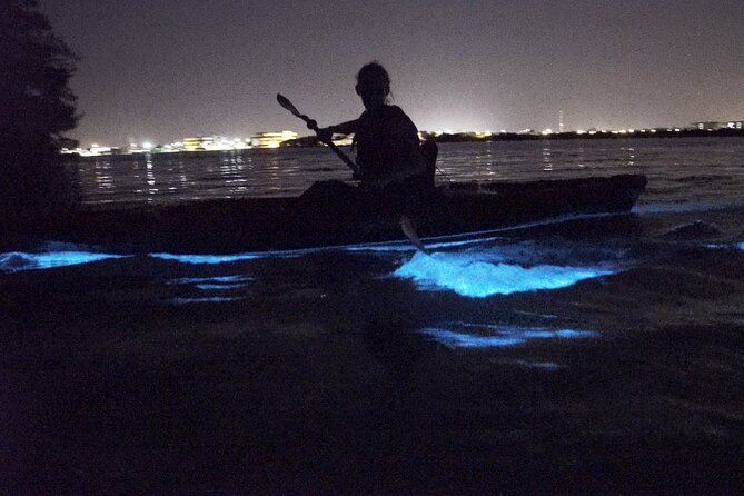 Bioluminescence Kayak Tour - The best part, and the part you cannot control