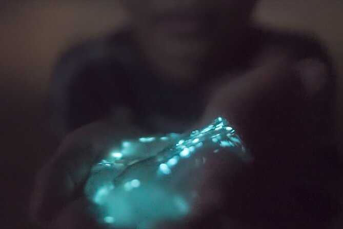 Bioluminescence Kayak Tour - What you will see, and what you may not