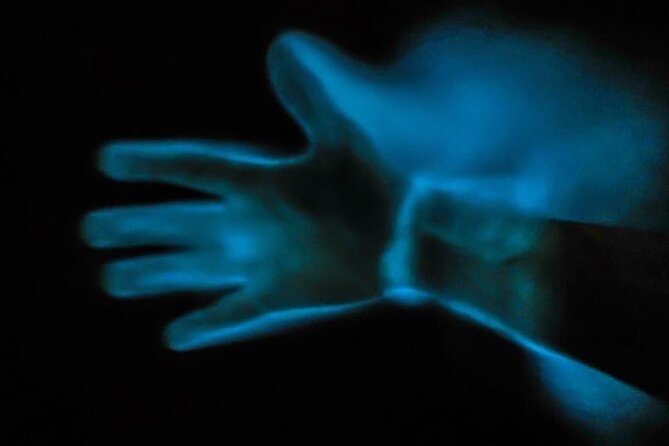 Bioluminescence Kayak Tour - Clothes, shoes, and useful packing advice