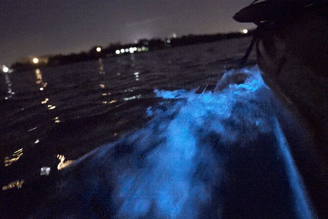 Bioluminescence Kayak Tour - Who should book this night kayak tour
