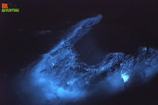 Bioluminescence Night Kayaking Tour of Merritt Island Wildlife Refuge - Why the Banana River glows after sunset