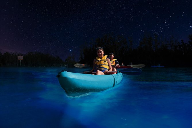 Bioluminescence Night Kayaking Tour of Merritt Island Wildlife Refuge - Searching for comb jellyfish and glowing plankton