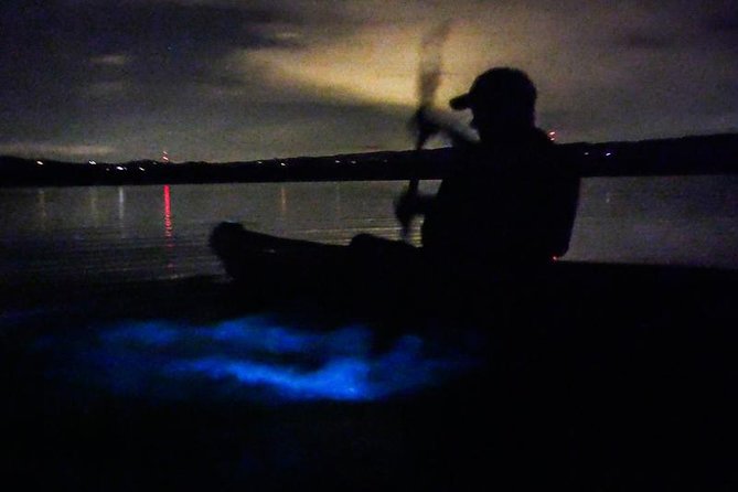 Bioluminescence Night Kayaking Tour of Merritt Island Wildlife Refuge - Night skies, dolphins, and manatee sounds