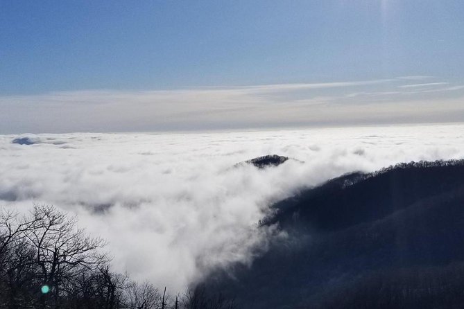 Blue Ridge Parkway Waterfalls Hiking Tour from Asheville - What the $112 price really covers