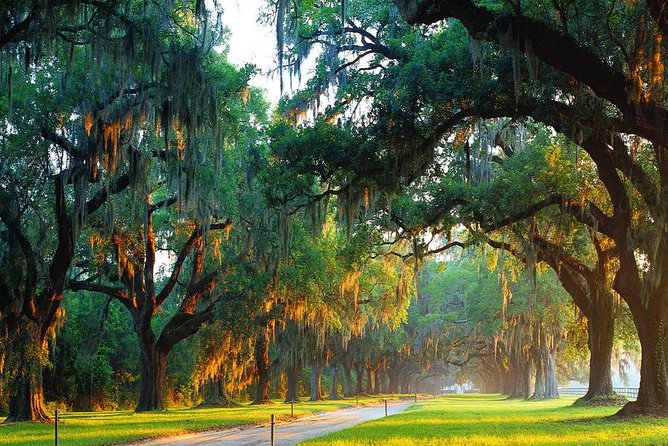 Boone Hall Plantation All-Access Admission Ticket - What Boone Hall Is Really About