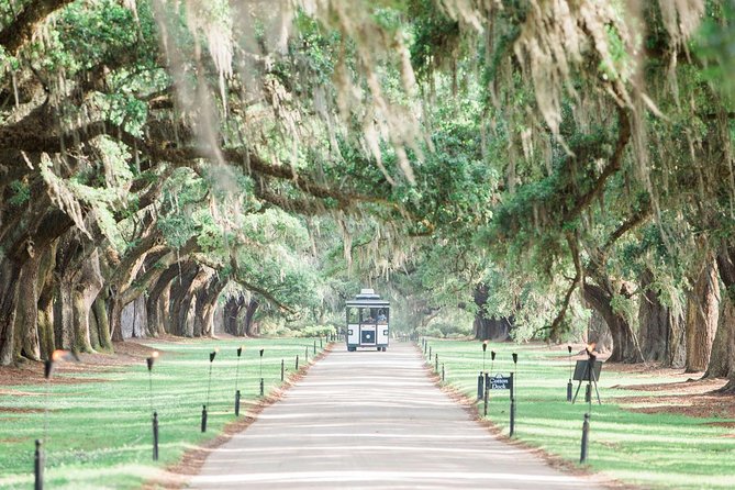 Boone Hall Plantation All-Access Admission Ticket - The Cabins and the Black History in America Exhibit