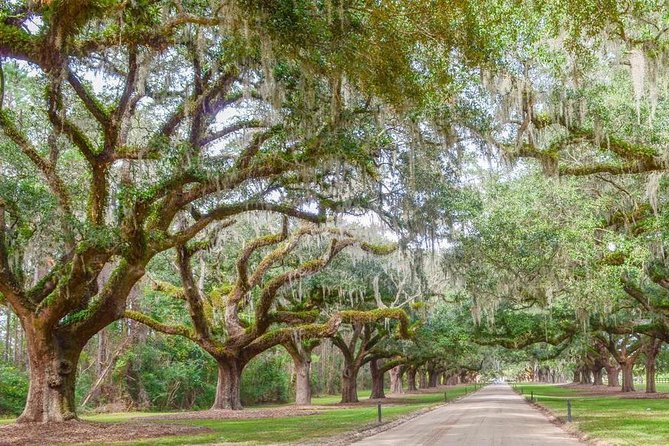 Boone Hall Plantation All-Access Admission Ticket - How Long You Need and How to Plan the Day