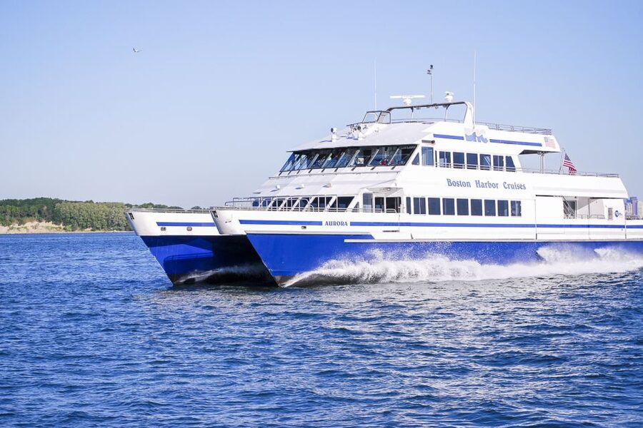 Boston: City Cruises Whale Watching Cruise - Key points at a glance