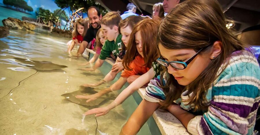 Boston: New England Aquarium Entry + Optional Simons Theatre - Should you book the New England Aquarium?
