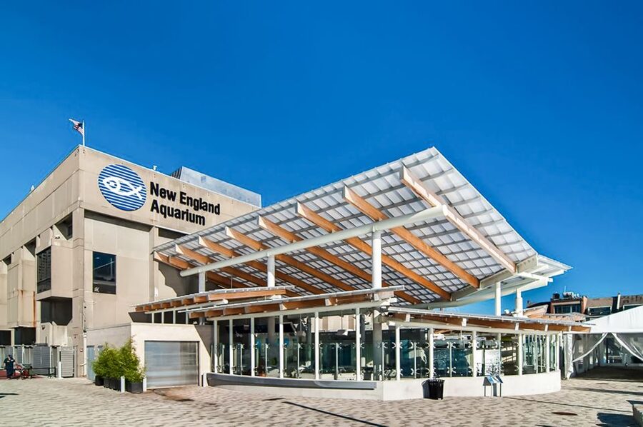 Boston: New England Aquarium Entry + Optional Simons Theatre - Starting with penguins and the Giant Ocean Tank