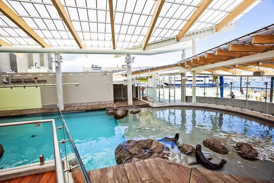Boston: New England Aquarium Entry + Optional Simons Theatre - Harbor seals and California sea lions