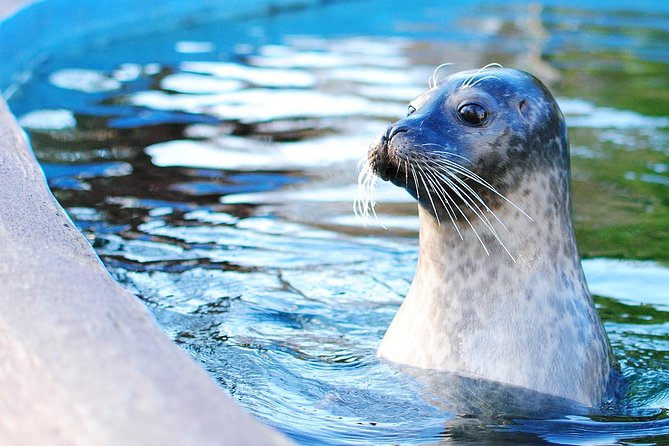 Boston Pass: 40+ Things To Do - Includes Franklin Park Zoo - Boston’s core sights: history, art, and the harbor