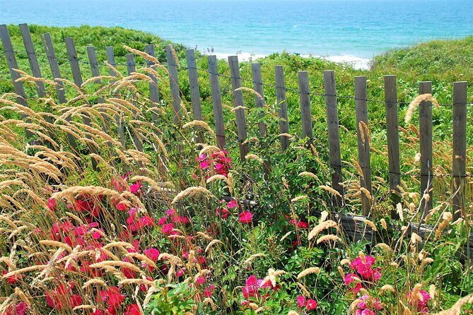 Boston to Martha's Vineyard Day Trip with Optional Island Tour - Edgartown: the most rewarding walking stop