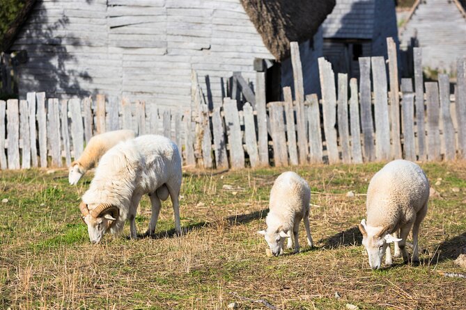 Boston to Plymouth Day-Trip including Quincy, Plimoth Patuxet and Mayflower II - Plimoth Patuxet: a hands-on look at the 17th century